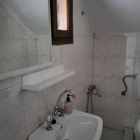 μπαρμπαρόριζα δίχωρο Studio *