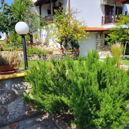 μπαρμπαρόριζα δίχωρο Studio Paliouri