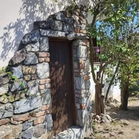 μπαρμπαρόριζα δίχωρο Studio Paliouri