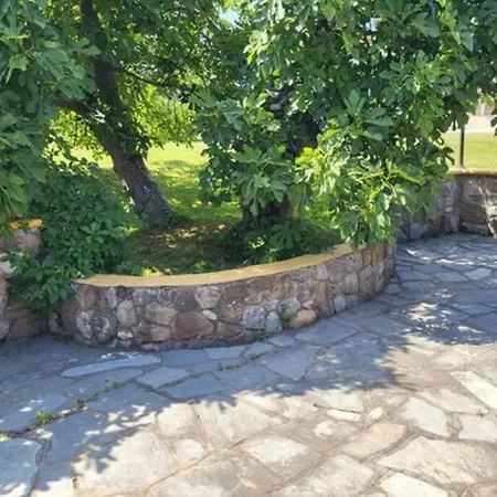 μπαρμπαρόριζα δίχωρο Studio